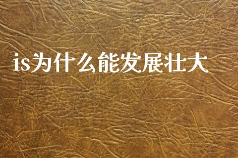 is为什么能发展壮大_https://wap.jnlaobingbanjia.com_金融理财_第1张