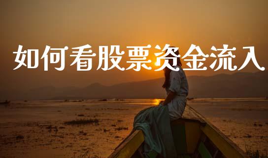如何看股票资金流入_https://wap.jnlaobingbanjia.com_基金分析_第1张