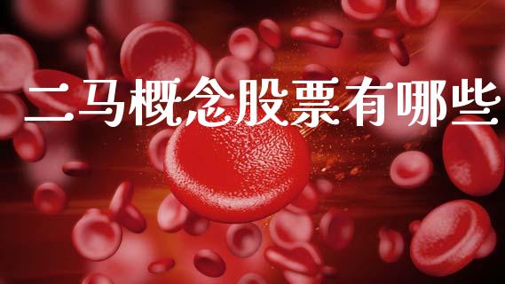 二马概念股票有哪些_https://wap.jnlaobingbanjia.com_基金分析_第1张