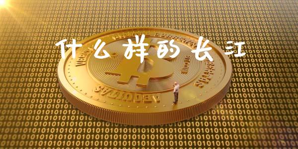什么样的长江_https://wap.jnlaobingbanjia.com_基金分析_第1张