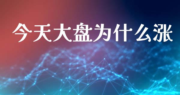 今天大盘为什么涨_https://wap.jnlaobingbanjia.com_证券公告_第1张