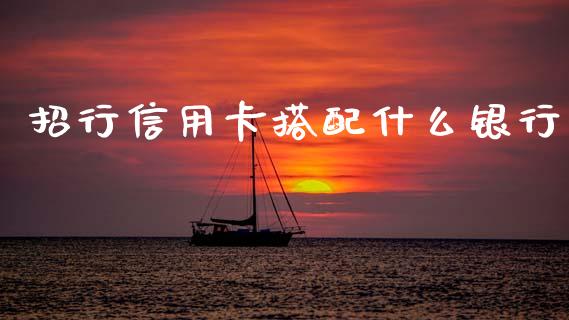 招行信用卡搭配什么银行_https://wap.jnlaobingbanjia.com_财务管理_第1张