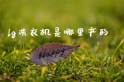 lg洗衣机是哪里产的_https://wap.jnlaobingbanjia.com_股市行情_第1张