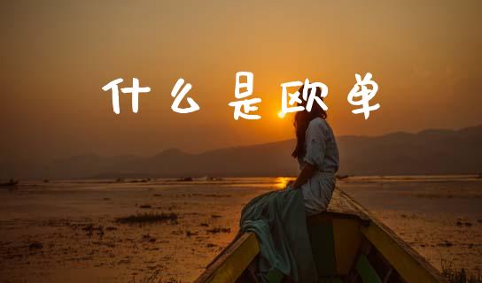 什么是欧单_https://wap.jnlaobingbanjia.com_财经资讯_第1张