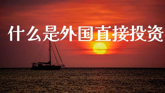 什么是外国直接投资_https://wap.jnlaobingbanjia.com_基金分析_第1张