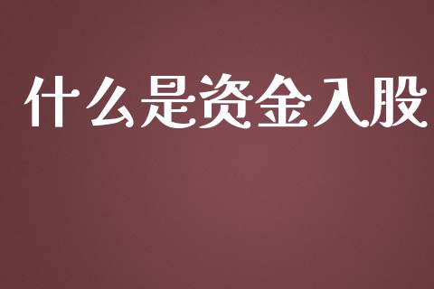 什么是资金入股_https://wap.jnlaobingbanjia.com_财经资讯_第1张