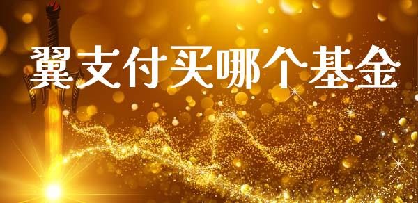 翼支付买哪个基金_https://wap.jnlaobingbanjia.com_股市行情_第1张