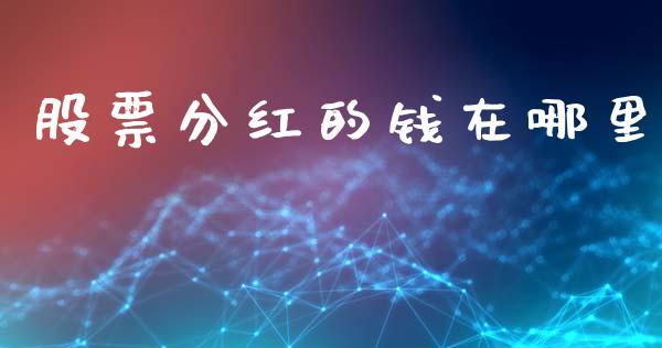 股票分红的钱在哪里_https://wap.jnlaobingbanjia.com_财务管理_第1张