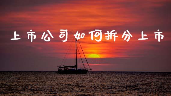 上市公司如何拆分上市_https://wap.jnlaobingbanjia.com_基金分析_第1张