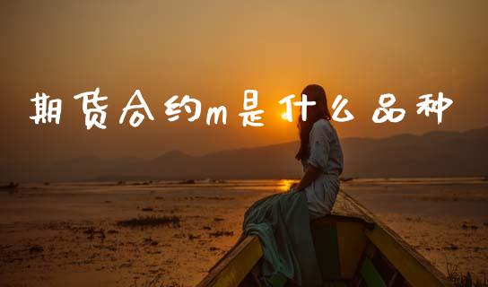 期货合约m是什么品种_https://wap.jnlaobingbanjia.com_财务管理_第1张