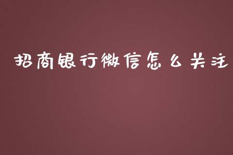 招商银行微信怎么关注_https://wap.jnlaobingbanjia.com_财务管理_第1张