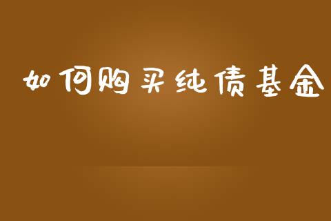 如何购买纯债基金_https://wap.jnlaobingbanjia.com_基金分析_第1张