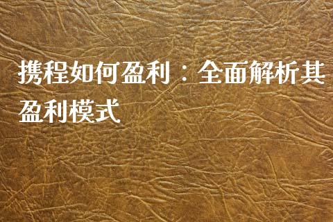 携程如何盈利：全面解析其盈利模式_https://wap.jnlaobingbanjia.com_金融理财_第1张