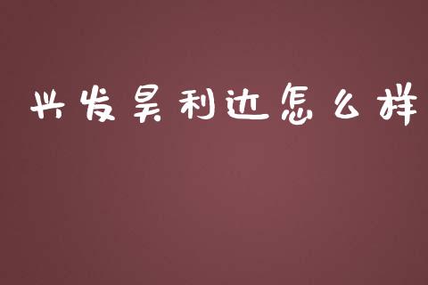 兴发昊利达怎么样_https://wap.jnlaobingbanjia.com_证券公告_第1张