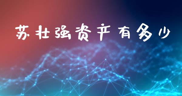 苏壮强资产有多少_https://wap.jnlaobingbanjia.com_证券公告_第1张