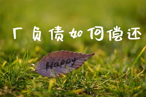 厂负债如何偿还_https://wap.jnlaobingbanjia.com_基金分析_第1张