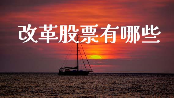改革股票有哪些_https://wap.jnlaobingbanjia.com_财务管理_第1张
