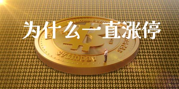 为什么一直涨停_https://wap.jnlaobingbanjia.com_基金分析_第1张