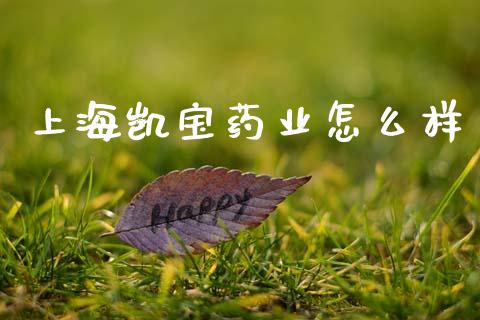 上海凯宝药业怎么样_https://wap.jnlaobingbanjia.com_证券公告_第1张
