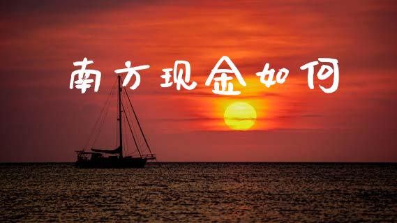 南方现金如何_https://wap.jnlaobingbanjia.com_财务管理_第1张