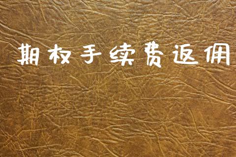 期权手续费返佣_https://wap.jnlaobingbanjia.com_证券公告_第1张