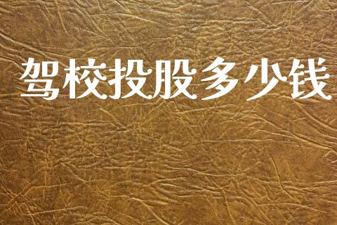 驾校投股多少钱_https://wap.jnlaobingbanjia.com_财务管理_第1张