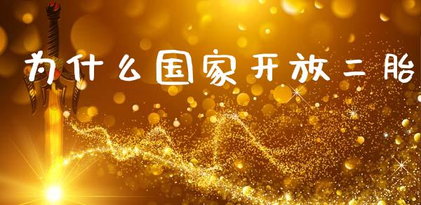 为什么国家开放二胎_https://wap.jnlaobingbanjia.com_金融理财_第1张