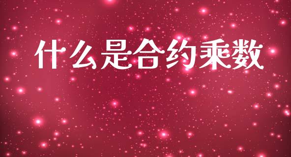 什么是合约乘数_https://wap.jnlaobingbanjia.com_股市行情_第1张