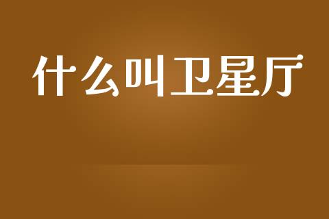什么叫卫星厅_https://wap.jnlaobingbanjia.com_财经资讯_第1张