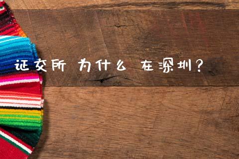 证交所 为什么 在深圳？_https://wap.jnlaobingbanjia.com_证券公告_第1张