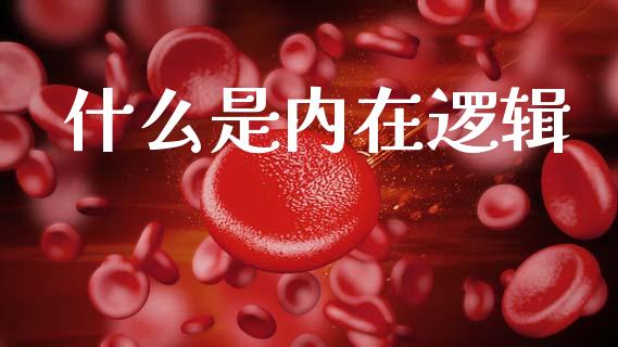 什么是内在逻辑_https://wap.jnlaobingbanjia.com_基金分析_第1张