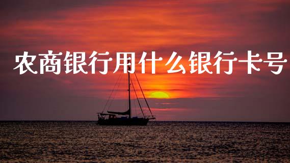 农商银行用什么银行卡号_https://wap.jnlaobingbanjia.com_证券公告_第1张