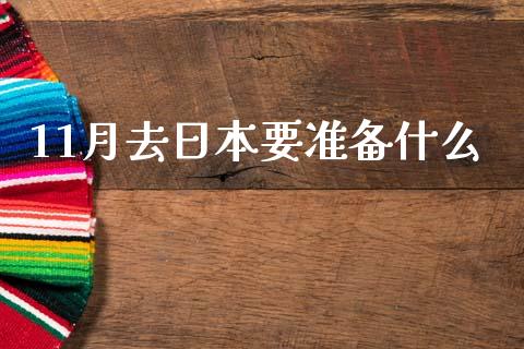 11月去日本要准备什么_https://wap.jnlaobingbanjia.com_证券公告_第1张