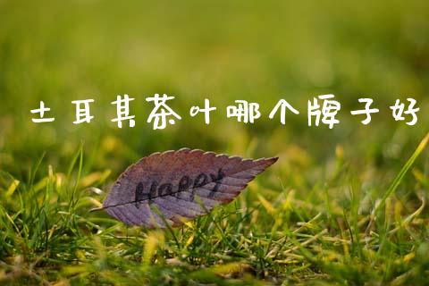 土耳其茶叶哪个牌子好_https://wap.jnlaobingbanjia.com_基金分析_第1张