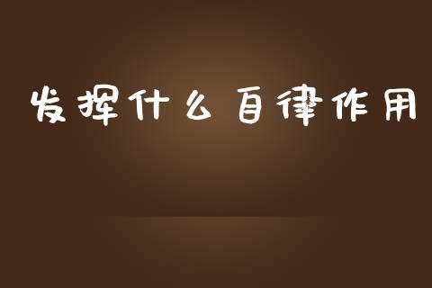 发挥什么自律作用_https://wap.jnlaobingbanjia.com_股市行情_第1张
