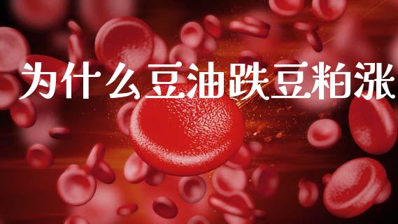 为什么豆油跌豆粕涨_https://wap.jnlaobingbanjia.com_财务管理_第1张