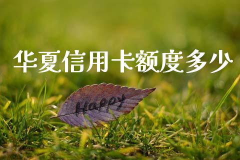 华夏信用卡额度多少_https://wap.jnlaobingbanjia.com_证券公告_第1张