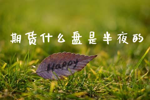 期货什么盘是半夜的_https://wap.jnlaobingbanjia.com_金融理财_第1张