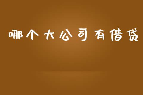 哪个大公司有借贷_https://wap.jnlaobingbanjia.com_股市行情_第1张