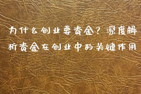 为什么创业要资金？深度解析资金在创业中的关键作用_https://wap.jnlaobingbanjia.com_基金分析_第1张