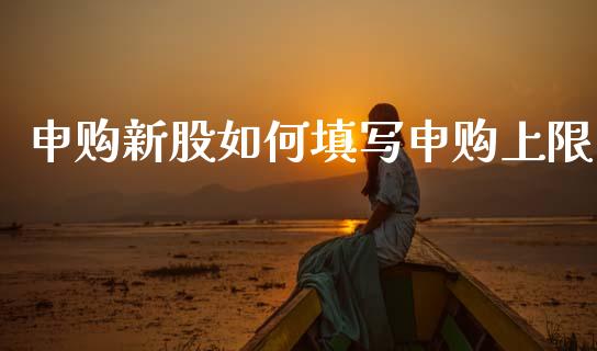 申购新股如何填写申购上限_https://wap.jnlaobingbanjia.com_财务管理_第1张