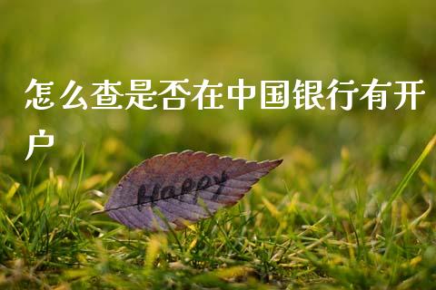 怎么查是否在中国银行有开户_https://wap.jnlaobingbanjia.com_股市行情_第1张