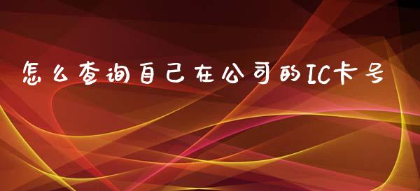 怎么查询自己在公司的IC卡号_https://wap.jnlaobingbanjia.com_股市行情_第1张