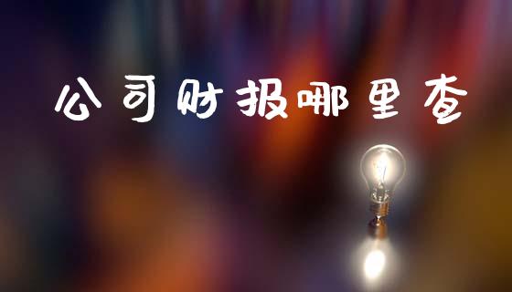 公司财报哪里查_https://wap.jnlaobingbanjia.com_证券公告_第1张