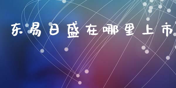 东易日盛在哪里上市_https://wap.jnlaobingbanjia.com_财经资讯_第1张
