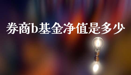 券商b基金净值是多少_https://wap.jnlaobingbanjia.com_财务管理_第1张