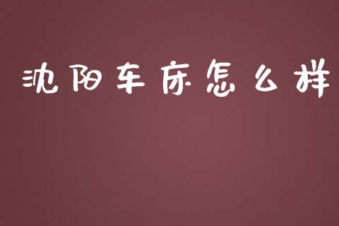 沈阳车床怎么样_https://wap.jnlaobingbanjia.com_股市行情_第1张
