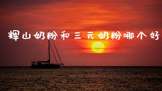 辉山奶粉和三元奶粉哪个好_https://wap.jnlaobingbanjia.com_财务管理_第1张
