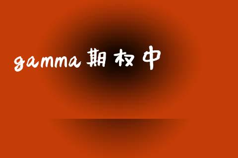 gamma期权中_https://wap.jnlaobingbanjia.com_财经资讯_第1张
