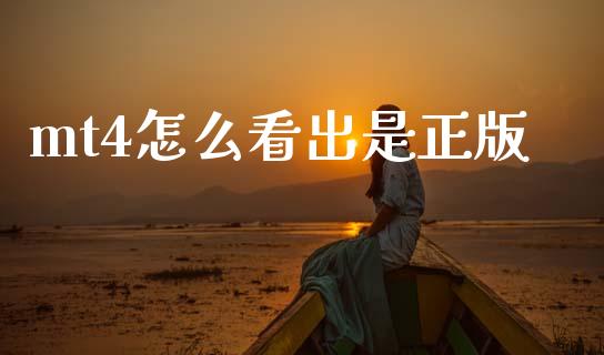 mt4怎么看出是正版_https://wap.jnlaobingbanjia.com_股市行情_第1张